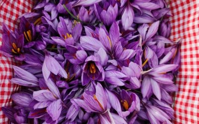 Marché de Villeneuve lez Avignon : le jeudi 9 avril 2026